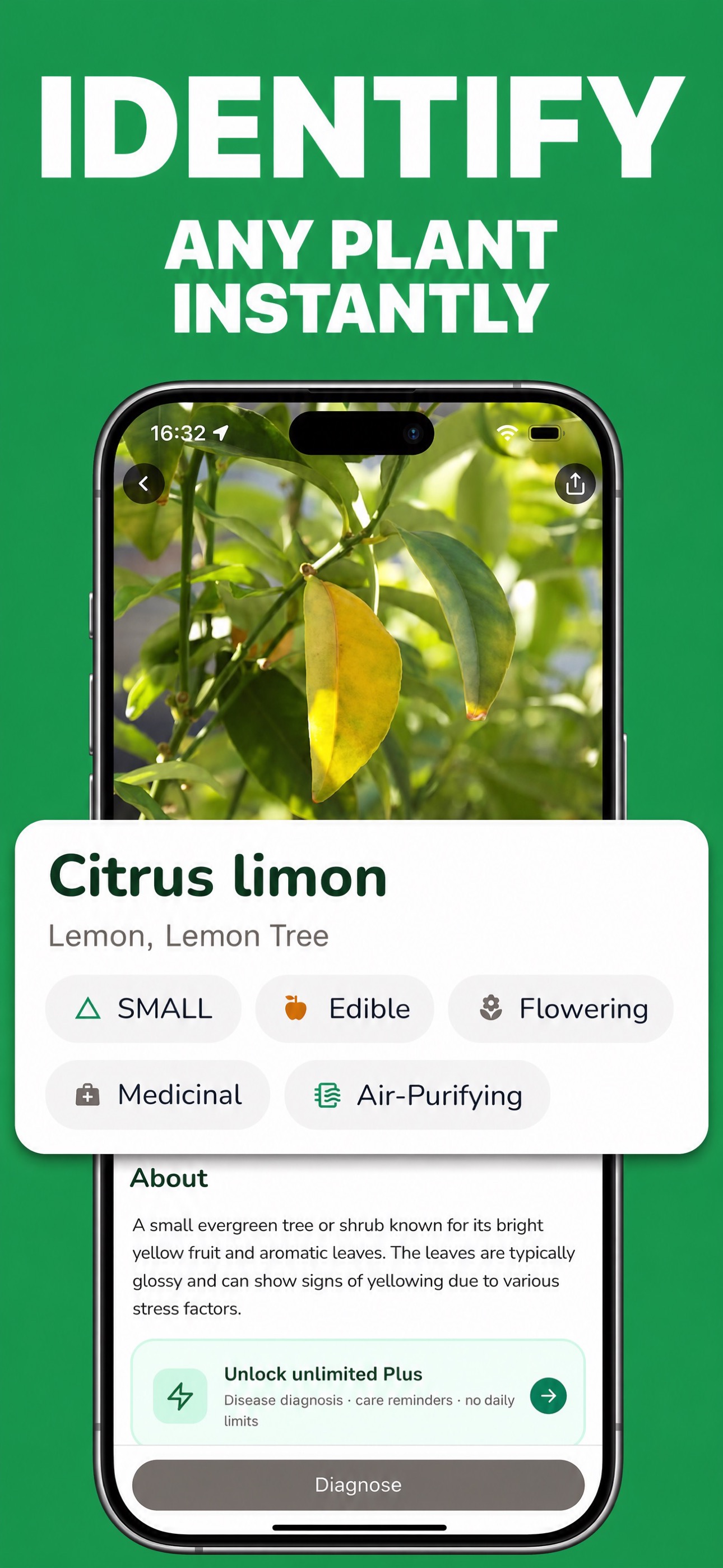 WhatPlant App - Identify Any Plant Interface