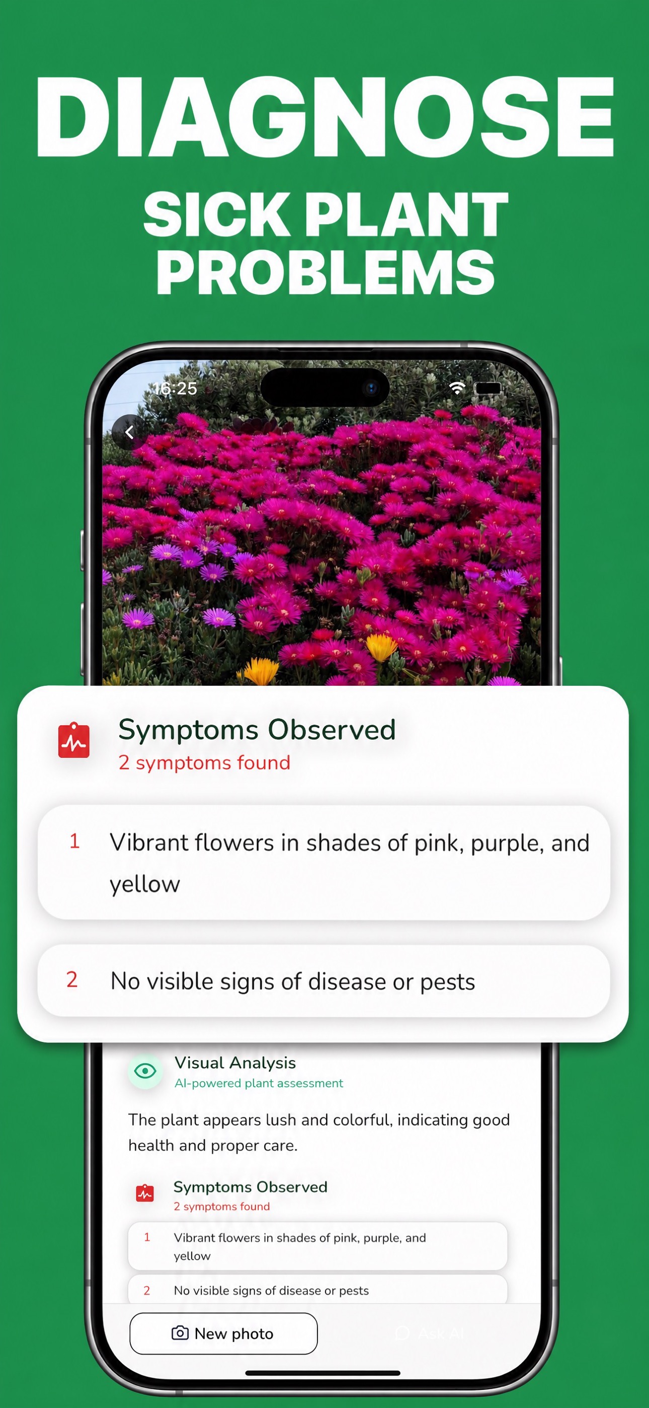 WhatPlant App - Plant Disease Diagnosis Interface